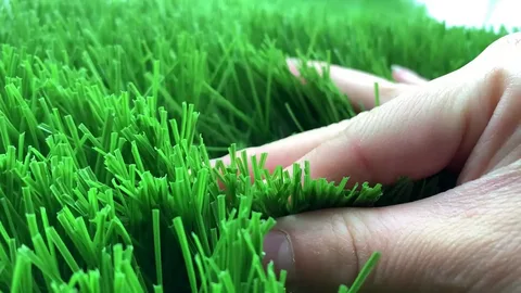 Soccer Field vs Football Field. 
Soccer Field Artificial Grass