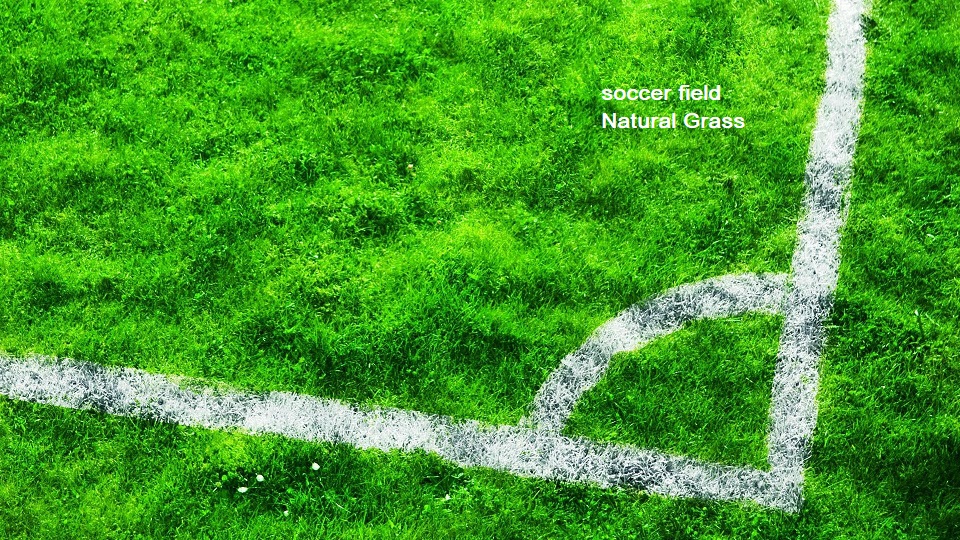 Soccer Field vs Football Field.
Soccer Field Natural Grass
