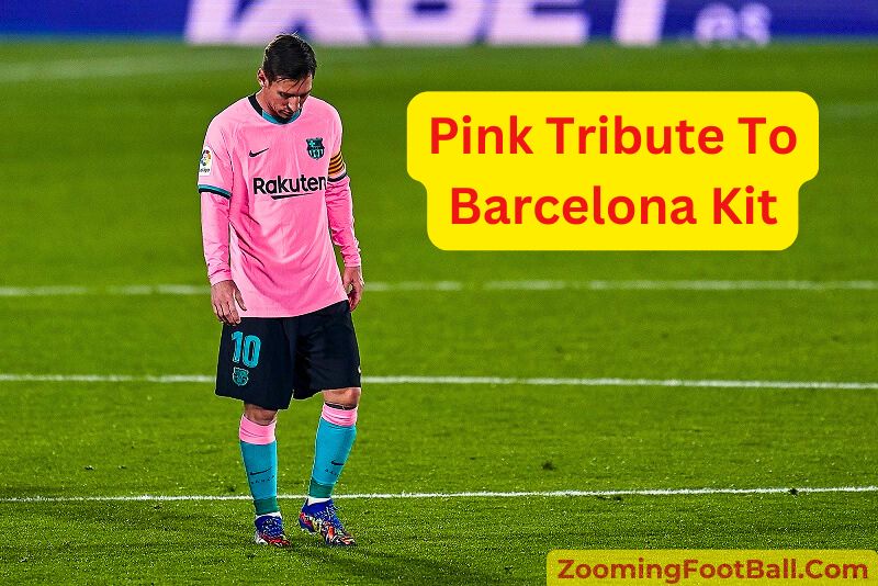 Pink Tribute Barcelona